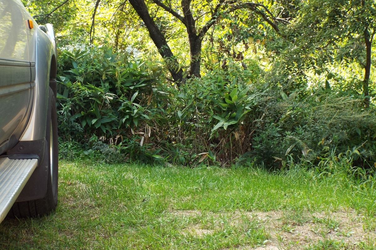 f:id:norlite_designs:20210911141209j:plain