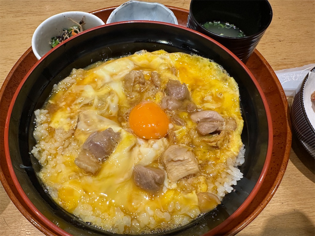f:id:normaltsuna:20250209145429j:image