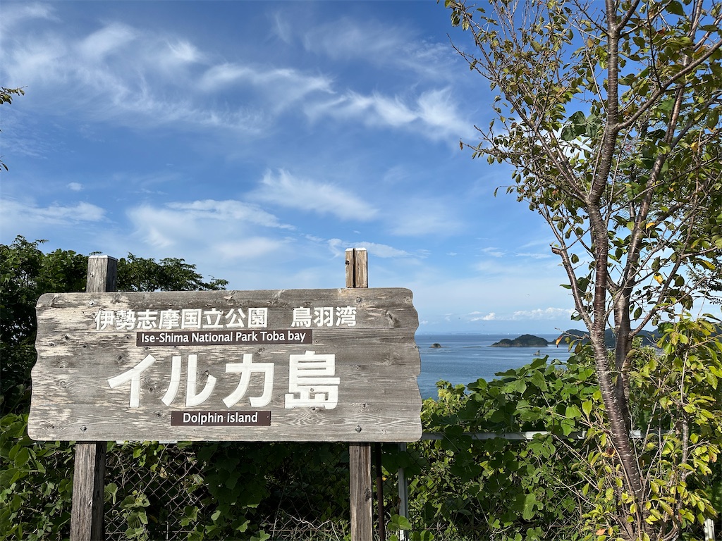 f:id:normaltsuna:20250924211013j:image