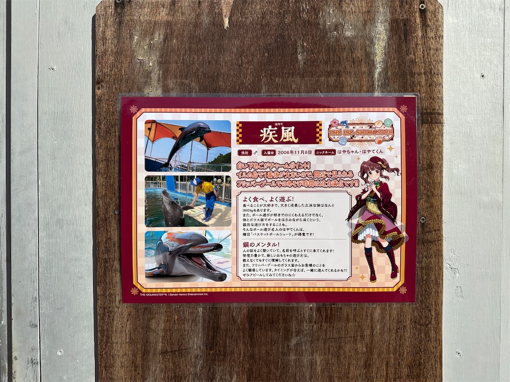f:id:normaltsuna:20250924211828j:image