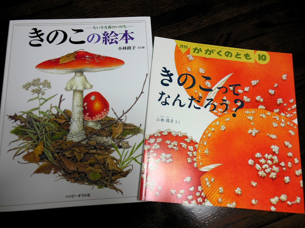 きのこの世界 後高生活らくがき帳