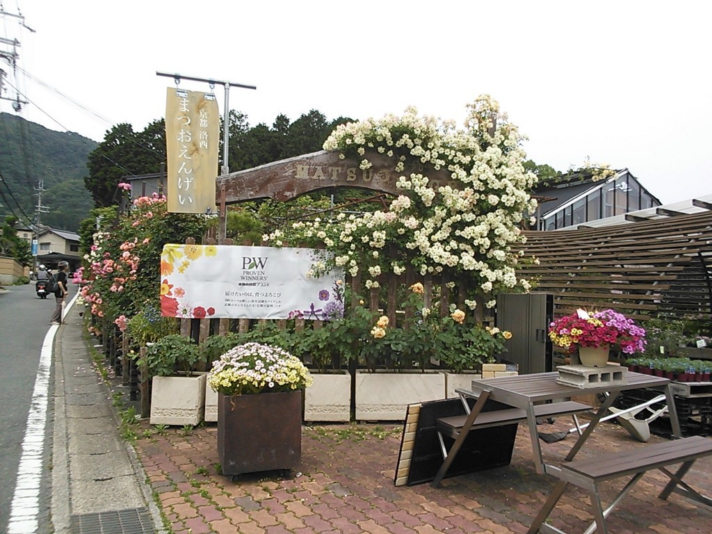 まつおえんげい へ行きました 後高生活らくがき帳 まつおえんげい へ行きました 後高生活らくがき帳