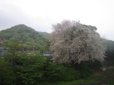 f:id:noronoyama:20110428061010j:image