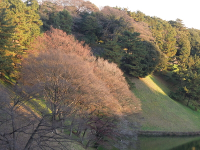 20111220153844