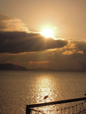 f:id:noronoyama:20120102075802j:image