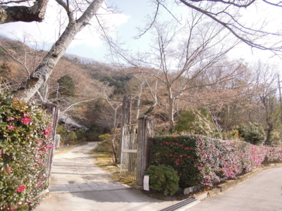 f:id:noronoyama:20120104115954j:image