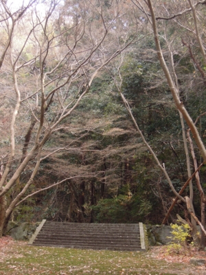 f:id:noronoyama:20120104120259j:image