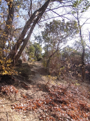 f:id:noronoyama:20120104124005j:image