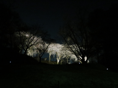 f:id:noronoyama:20120408193932j:image