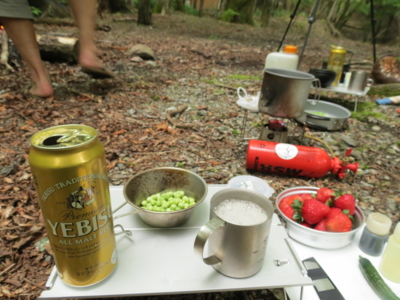 20120526164146