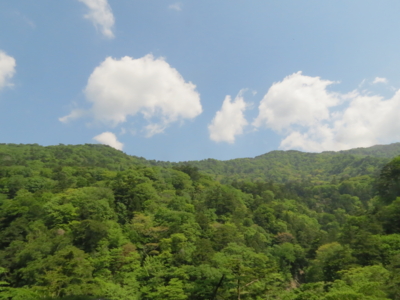 20120527101449