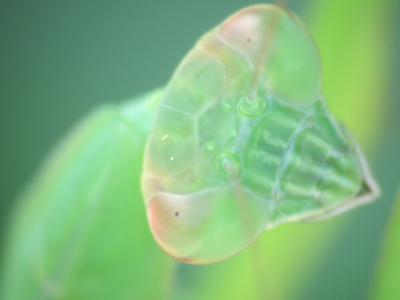 f:id:noronoyama:20120722145759j:image