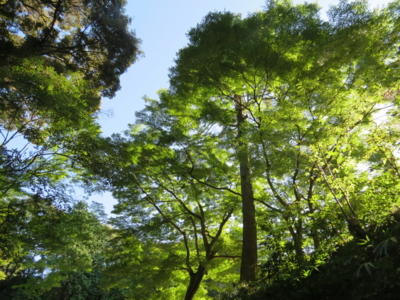 f:id:noronoyama:20120825080635j:image f:id:noronoyama:20120825080635j:image
