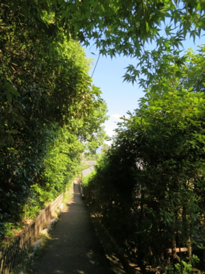 f:id:noronoyama:20120825084018j:image f:id:noronoyama:20120825084018j:image