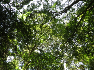 f:id:noronoyama:20121008105451j:image f:id:noronoyama:20121008105451j:image