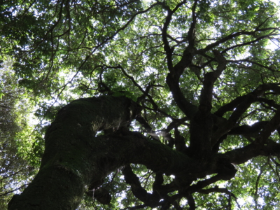 f:id:noronoyama:20121008120544j:image f:id:noronoyama:20121008120544j:image