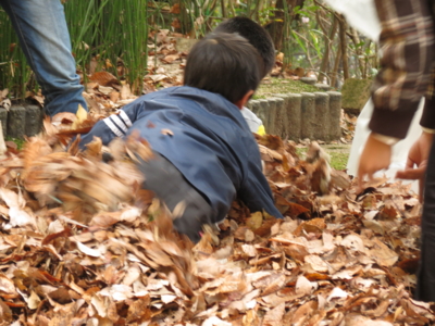 f:id:noronoyama:20121208142324j:image f:id:noronoyama:20121208142324j:image