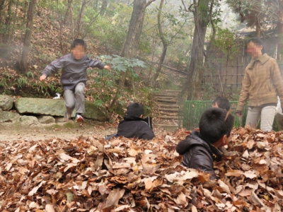 f:id:noronoyama:20121209121839j:image f:id:noronoyama:20121209121839j:image