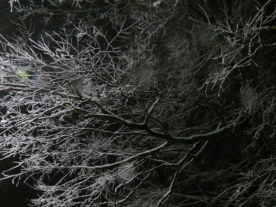f:id:noronoyama:20121219004520j:image