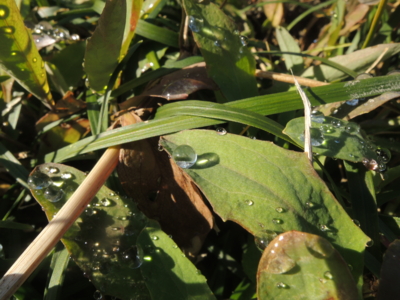 f:id:noronoyama:20121229104256j:image