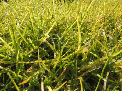 f:id:noronoyama:20121229104910j:image