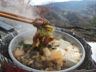 f:id:noronoyama:20131228141328j:image