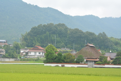 f:id:noronoyama:20140824110438j:image