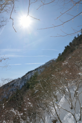 f:id:noronoyama:20150221110034j:image