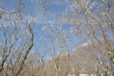 f:id:noronoyama:20150221124435j:image