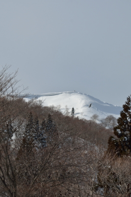 f:id:noronoyama:20150221142552j:image