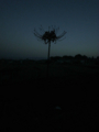 20150918054713