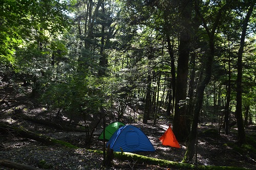 f:id:noronoyama:20180918231834j:plain