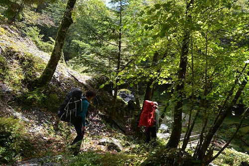 f:id:noronoyama:20180918231950j:plain