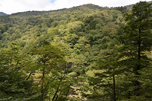 f:id:noronoyama:20180918232012j:plain