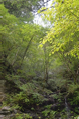 f:id:noronoyama:20180918235537j:plain