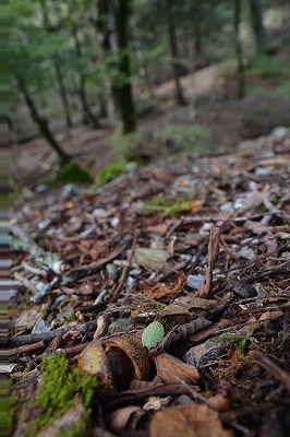 f:id:noronoyama:20180918235645j:plain