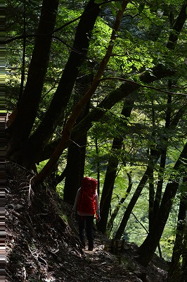 f:id:noronoyama:20180918235650j:plain