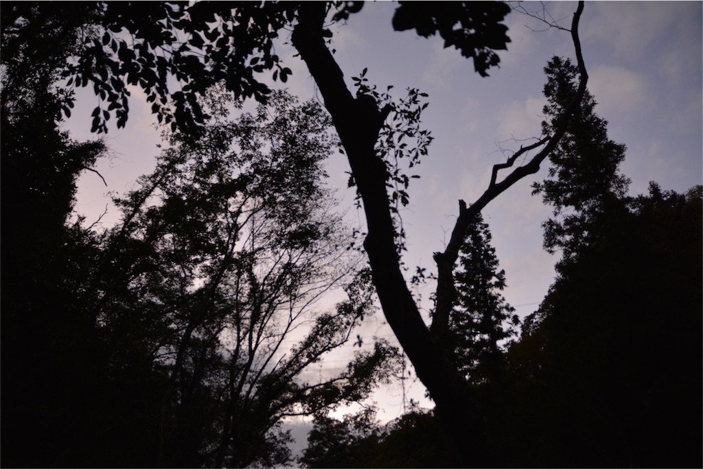 f:id:noronoyama:20181008221654j:image