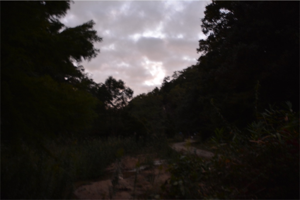 f:id:noronoyama:20181008221710j:image