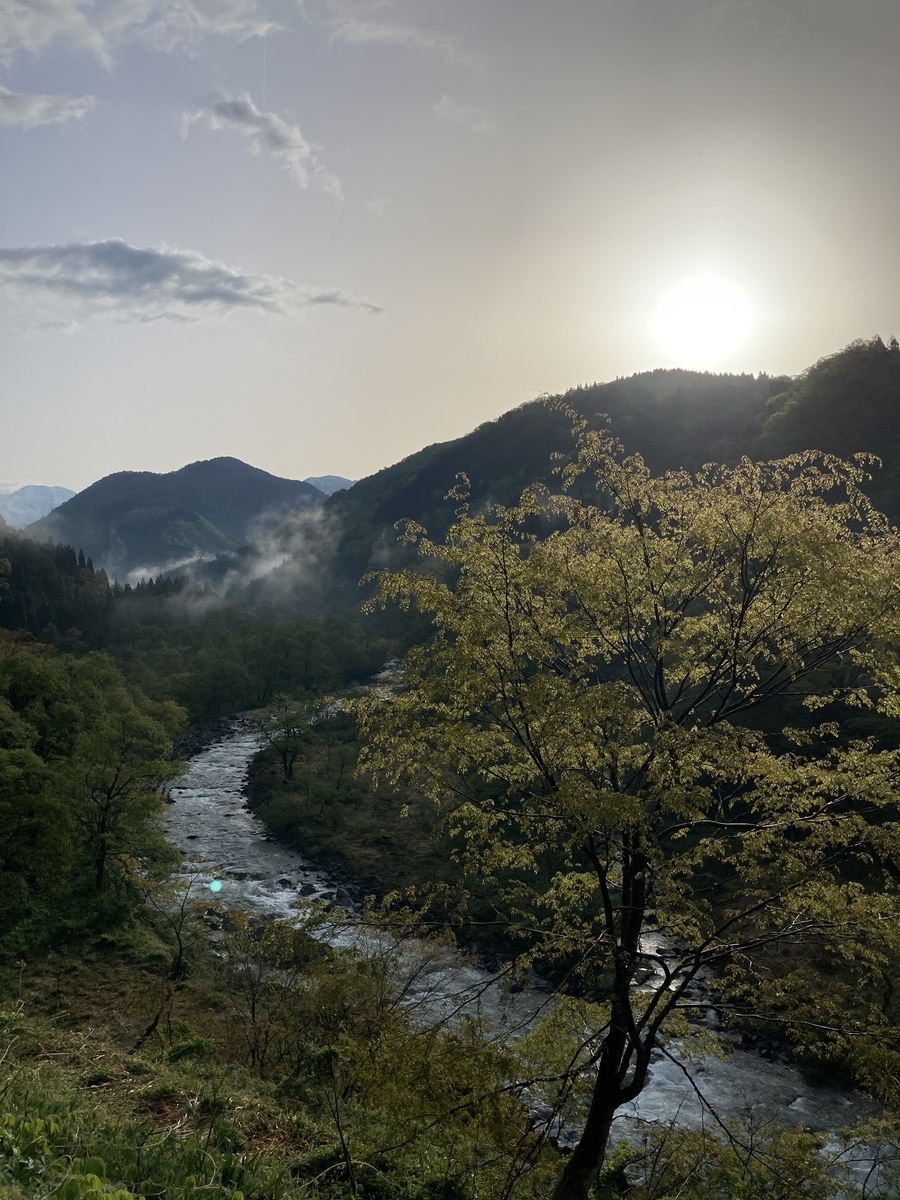f:id:noronoyama:20210504062151j:plain