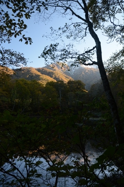 f:id:noronoyama:20211025062702j:plain