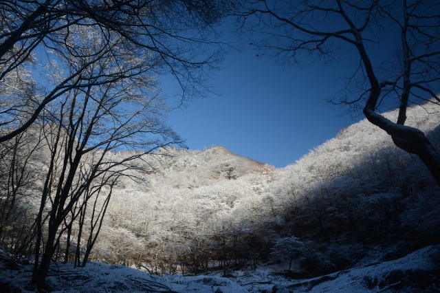f:id:noronoyama:20211128202705j:plain