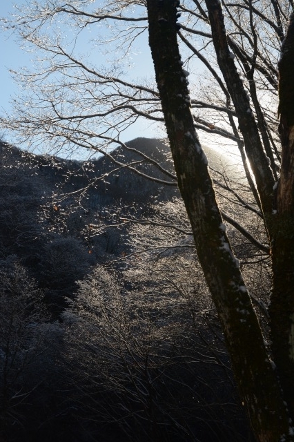 f:id:noronoyama:20211128202713j:plain