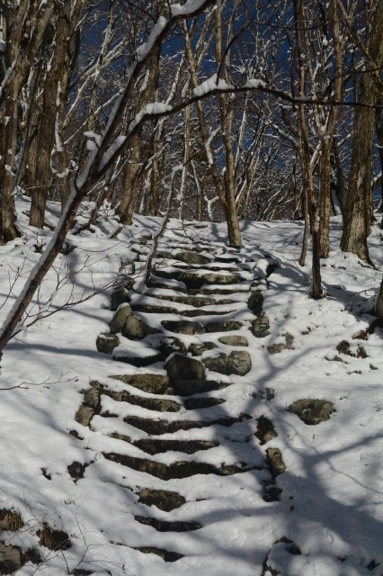 f:id:noronoyama:20211128202726j:plain