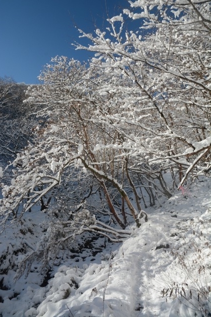 f:id:noronoyama:20211128202732j:plain