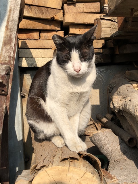 f:id:nortebell:20180111201505j:plain f:id:nortebell:20180111201505j:plain