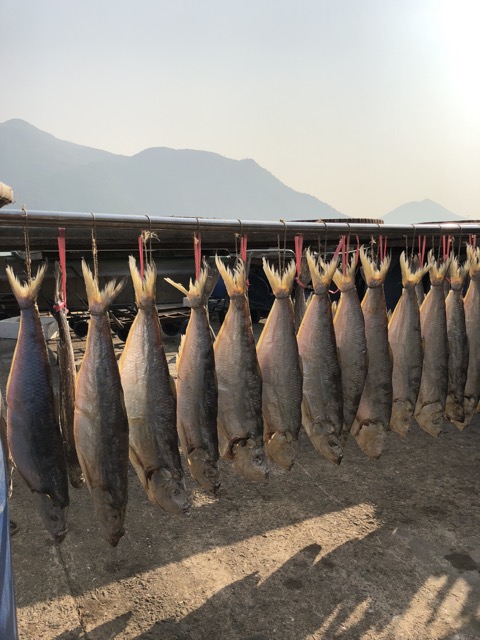 f:id:nortebell:20180111201521j:plain f:id:nortebell:20180111201521j:plain