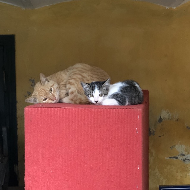 f:id:nortebell:20180215002636j:plain f:id:nortebell:20180215002636j:plain