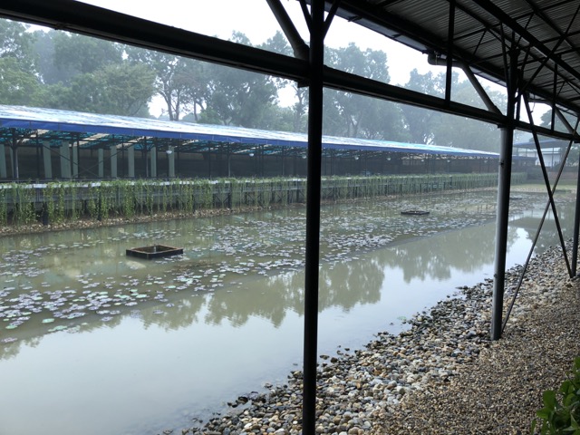 f:id:nortebell:20180215002646j:plain f:id:nortebell:20180215002646j:plain