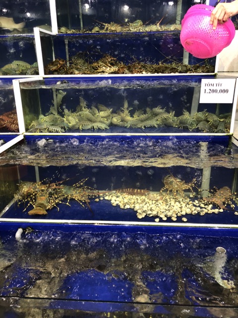 f:id:nortebell:20180215003013j:plain f:id:nortebell:20180215003013j:plain